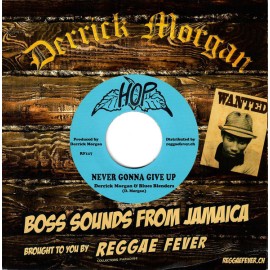 Never Gonna Give Up / Rock-A-Boogie